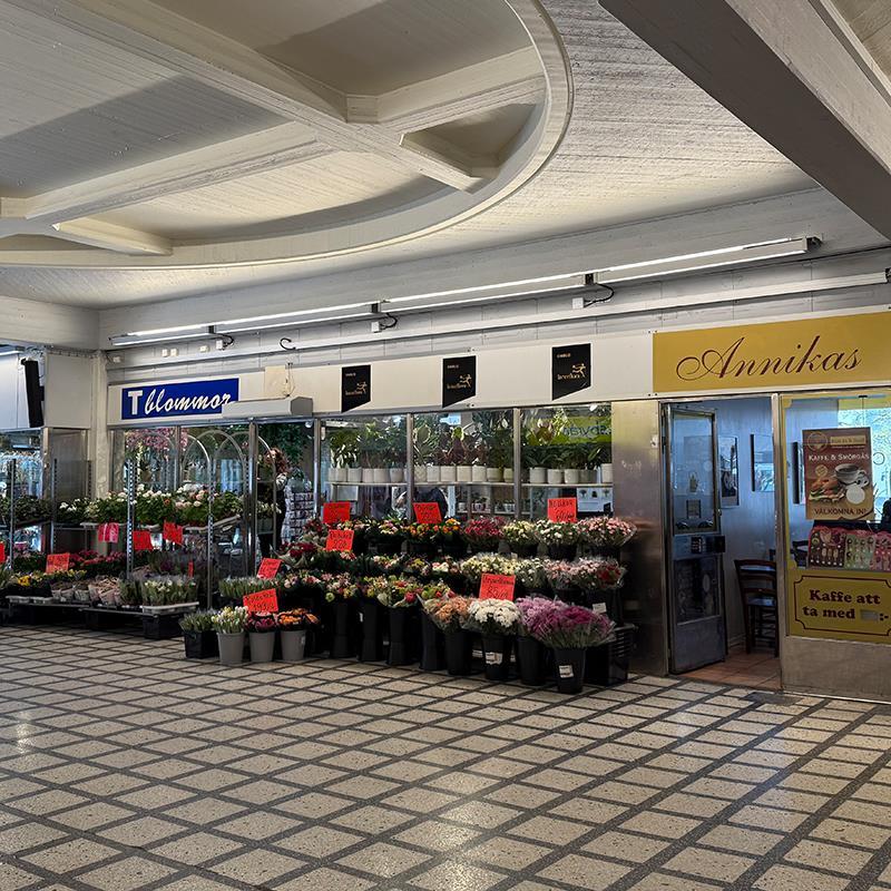 Line safe, en komplett familj linjära armaturer för infrastruktur