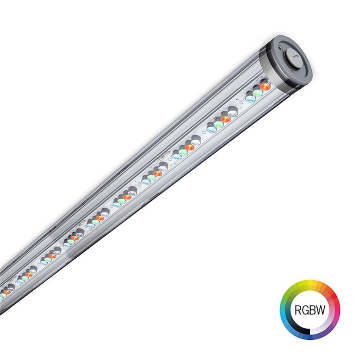 Pole 50 fokus RGBW DE - Produktbild