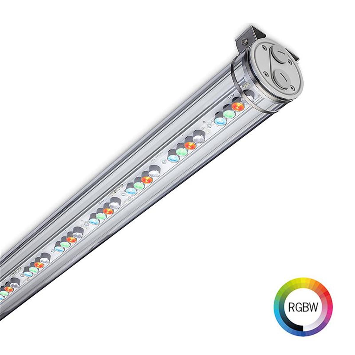 Pole 80 fokus RGBW - Produktbild