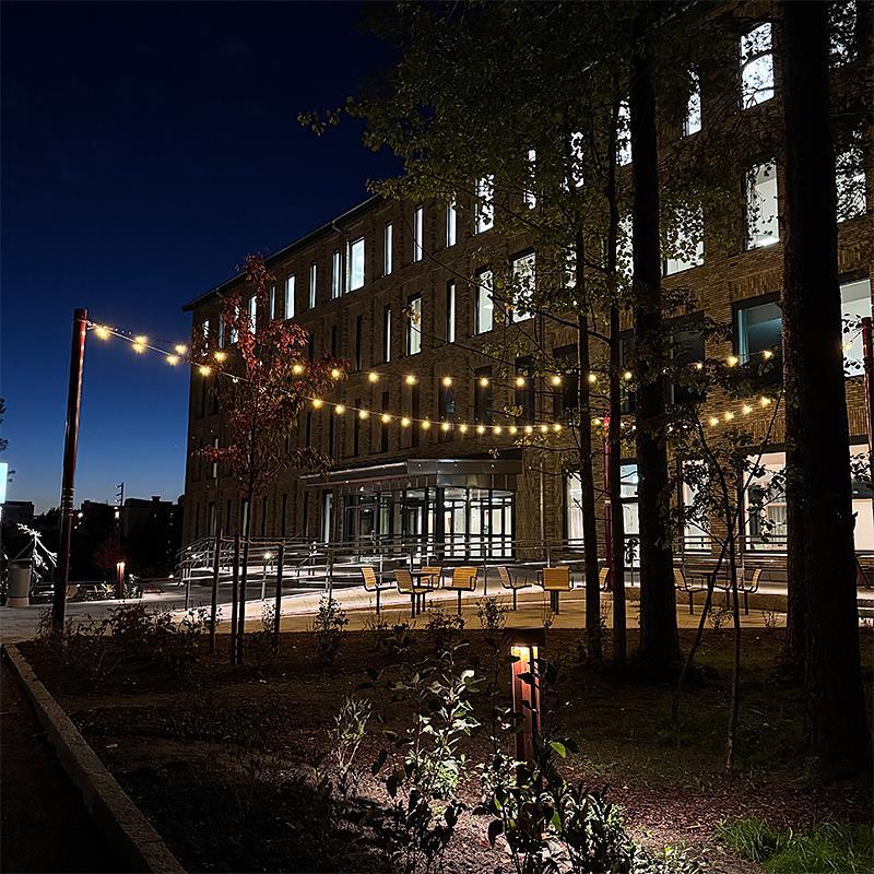 Linspänd belysning skapar rum i rummet på Campus Umeå