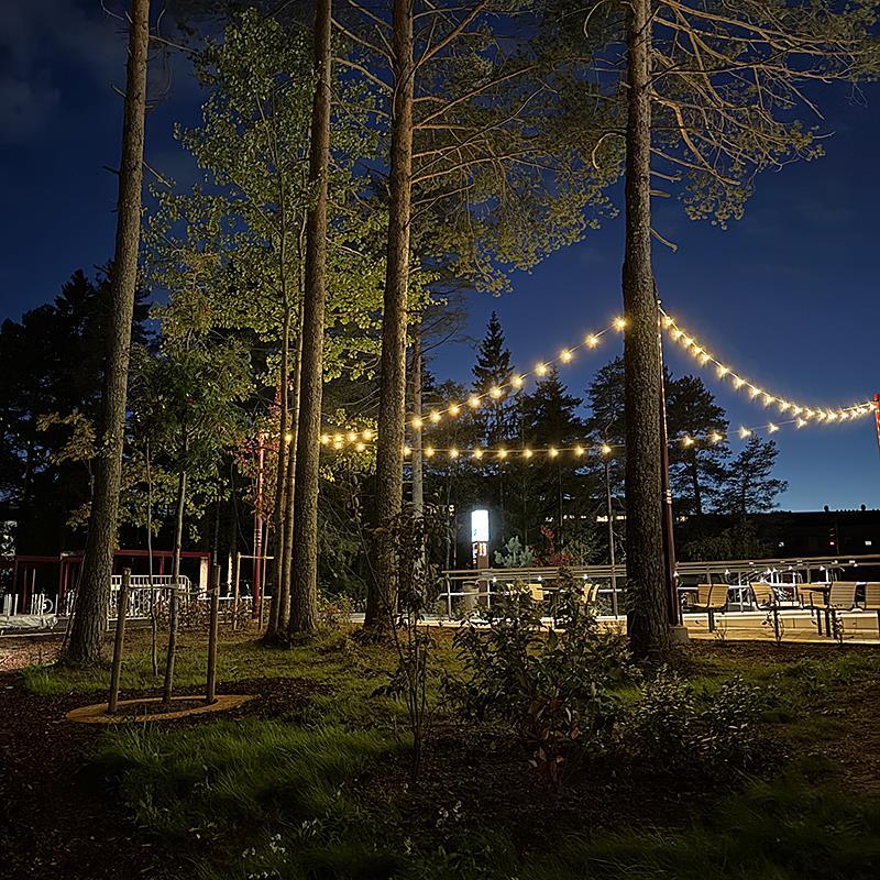 Linspänd belysning skapar rum i rummet på Campus Umeå