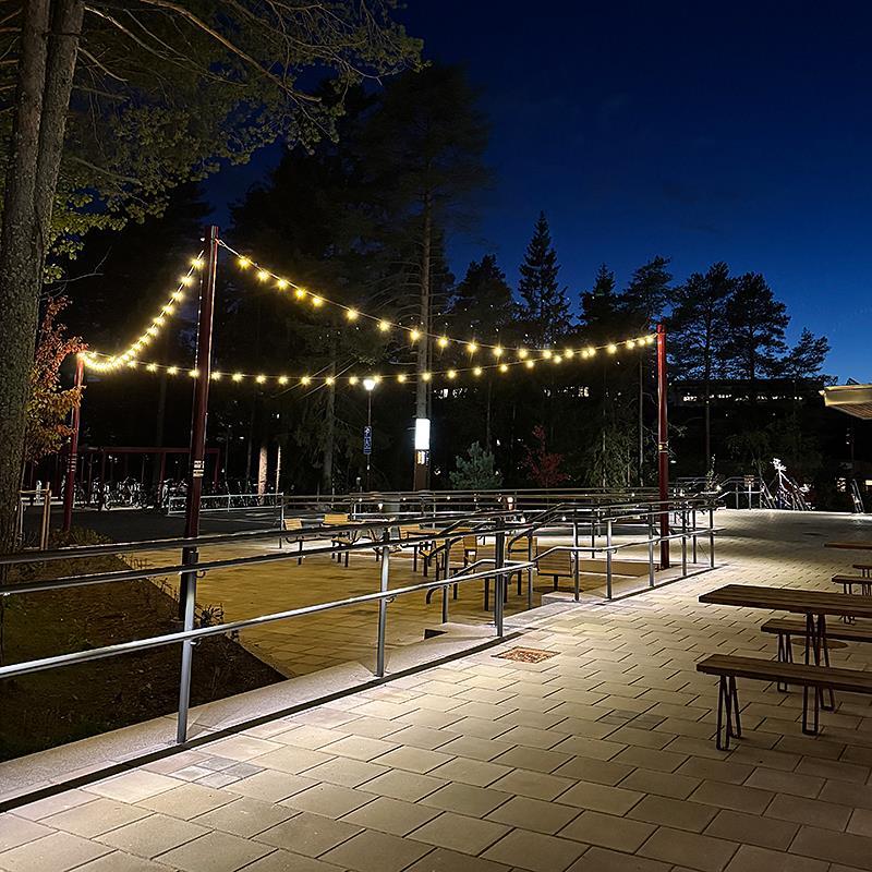 Linspänd belysning skapar rum i rummet på Campus Umeå